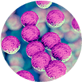 MRSA MRSA