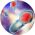 C. difficile spores C. difficile spores
