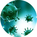 Adenovirus Adenovirus