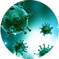 Adenovirus