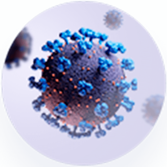 CORONAVIRUS SARS-COV-2 CORONAVIRUS SARS-COV-2