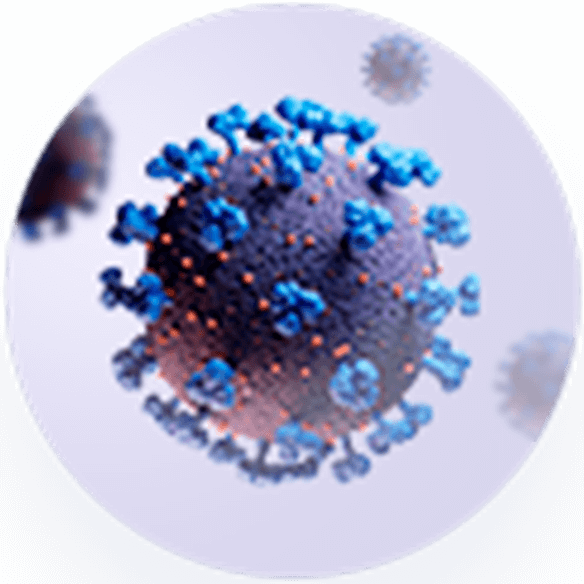 CORONAVIRUS SARS-COV-2